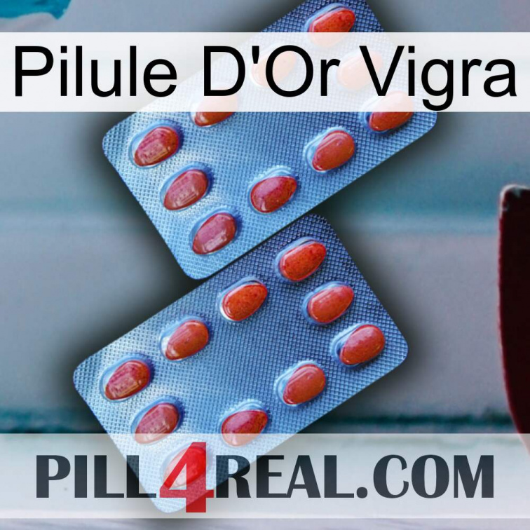 Vigra Gold Pill 05